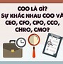 Cfo Là Làm Gì