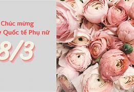 Chúc Quốc Tế Phụ Nữ Tiếng Anh