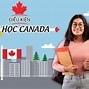 Du Học Nghề Canada 2022 Tại Mỹ Bao Lâu